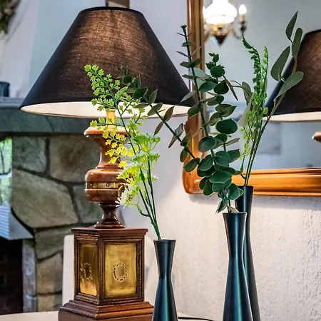Prázdninový dům Efcharis House Skopelos